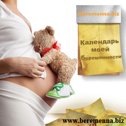 Календарь беременности с разбивкой по неделям от сайта beremenna.biz
