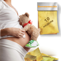Описание протекания десятой недели беременности женщины от сайта beremenna.biz